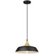 Arlo 1 Light 14.1 inch Matte Black Indoor Pendant Ceiling Light